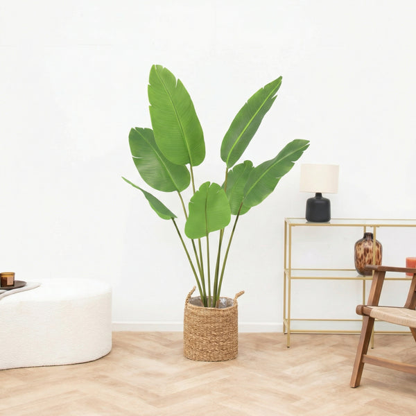 Kunst Strelitzia Nicolai - 135cm kopen bij Green Bubble