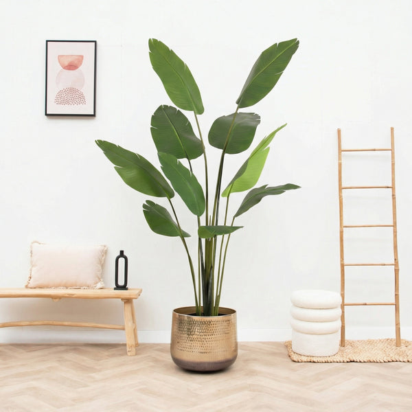 Kunst Strelitzia Nicolai - 180cm kopen bij Green Bubble