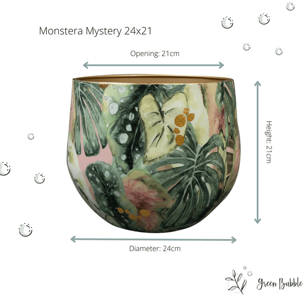 Pot Monstera Mystery kopen bij Green Bubble