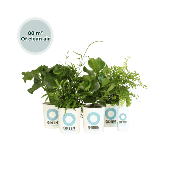 Ogreen - Animal Friendly kopen bij Green Bubble