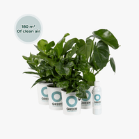 Ogreen - Green Office