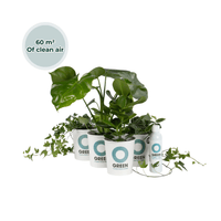 Ogreen - Musthaves
