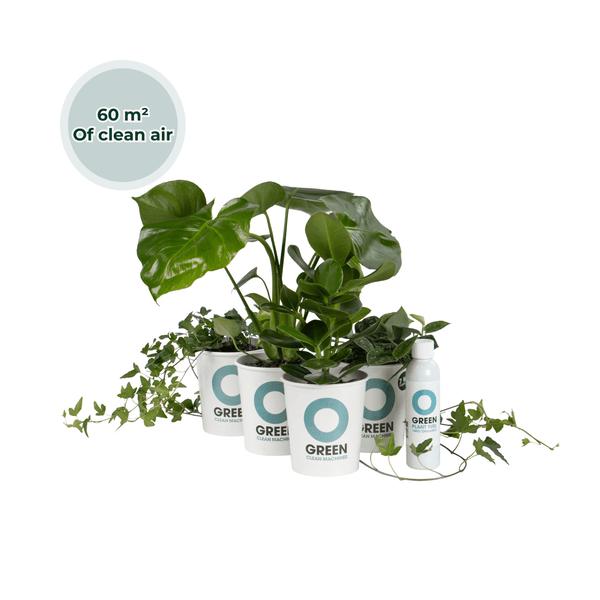 Ogreen - Musthaves kopen bij Green Bubble