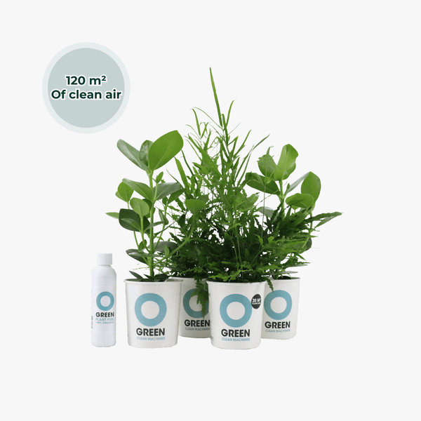 Ogreen - Power Squad kopen bij Green Bubble