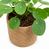 Product afbeelding 4