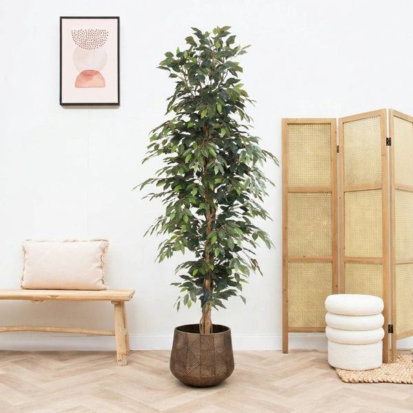 Kunst Ficus Benjamina - 205cm kopen bij Green Bubble