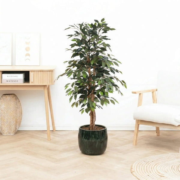 Kunst Ficus Benjamina - 130cm kopen bij Green Bubble