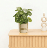 Product afbeelding 1