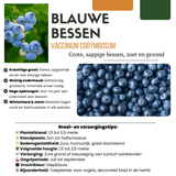 Product afbeelding 2