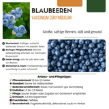 Product afbeelding 6