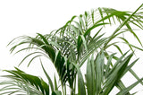 Product afbeelding 2