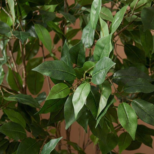 Kunst Ficus Benjamina - 130cm kopen bij Green Bubble