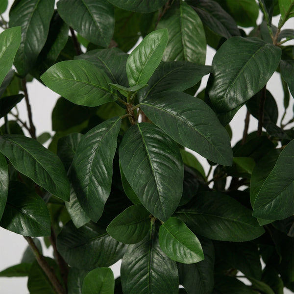 Kunst Magnolia - 190cm kopen bij Green Bubble