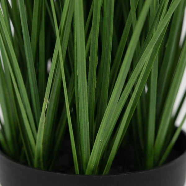 Kunst Onion Grass - 130cm kopen bij Green Bubble