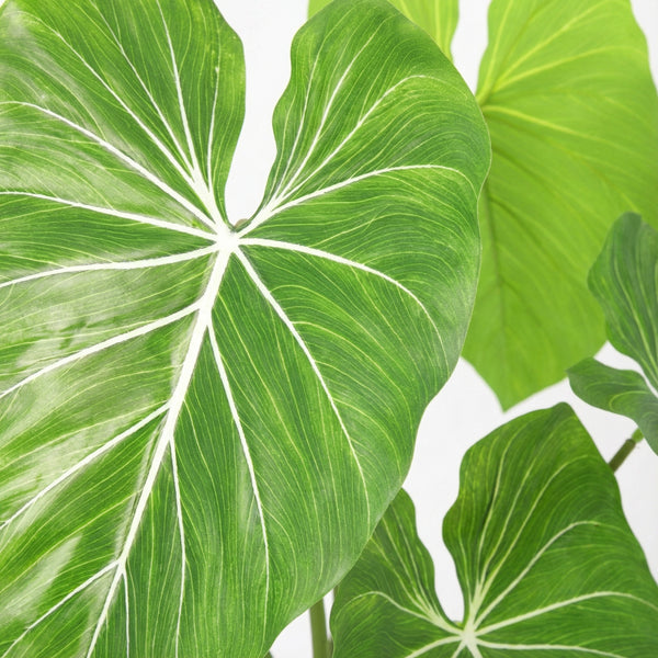 Kunst Philodendron - 100cm kopen bij Green Bubble