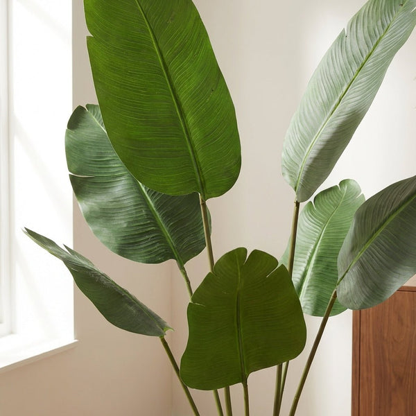 Kunst Strelitzia Nicolai - 135cm kopen bij Green Bubble