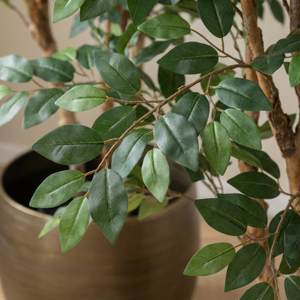 Kunst Ficus Exotica - 150cm kopen bij Green Bubble