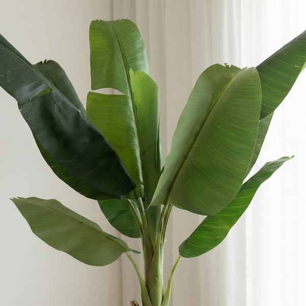 Kunst Bananenplant Musa - 190cm kopen bij Green Bubble