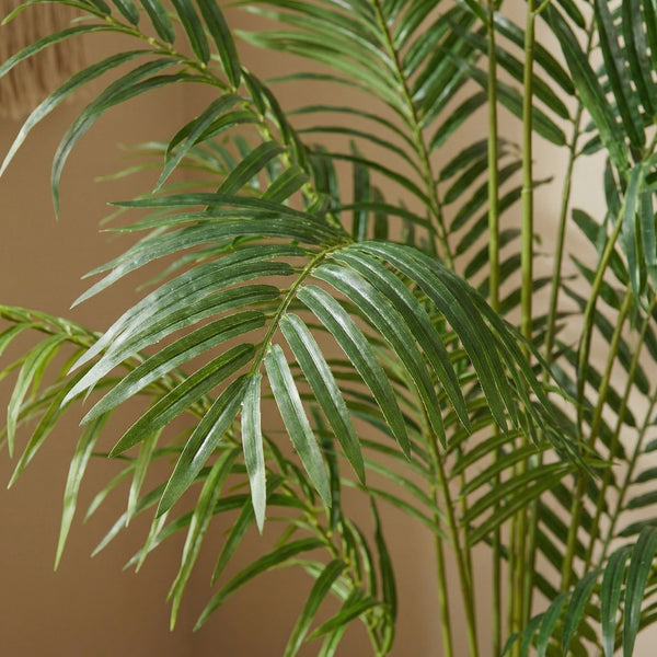 Kunst Kentia palm - 170cm kopen bij Green Bubble