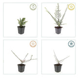 Product afbeelding 6