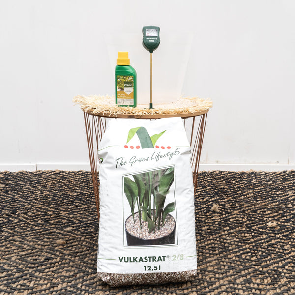 Planten opmaakpakket kopen bij Green Bubble