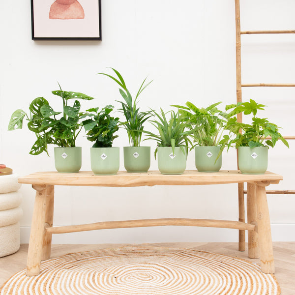 Pot elho Vibes Fold Round groen kopen bij Green Bubble