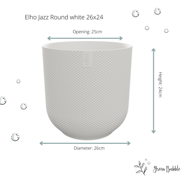 Combi deal - Kentia palm inclusief elho Jazz Round - 160cm kopen bij Green Bubble