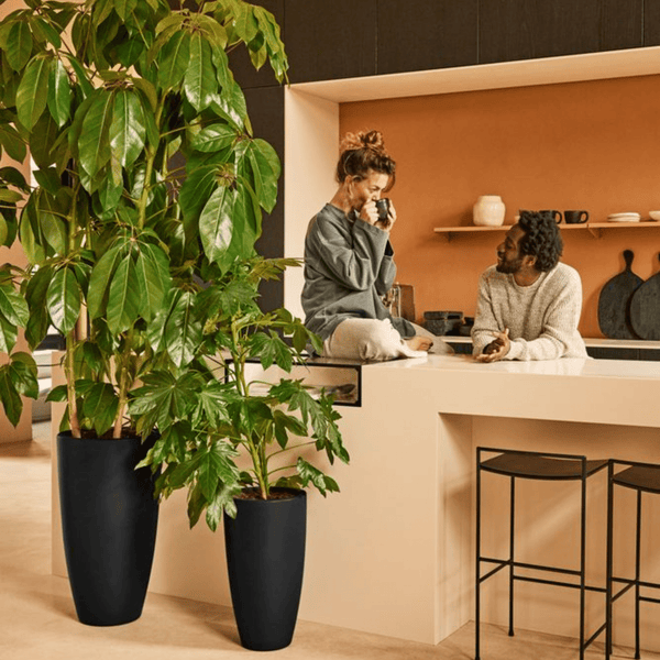 Pot Elho June Round High Zwart kopen bij Green Bubble