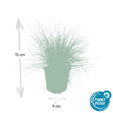 Product afbeelding 2