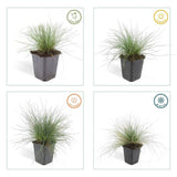 Product afbeelding 3