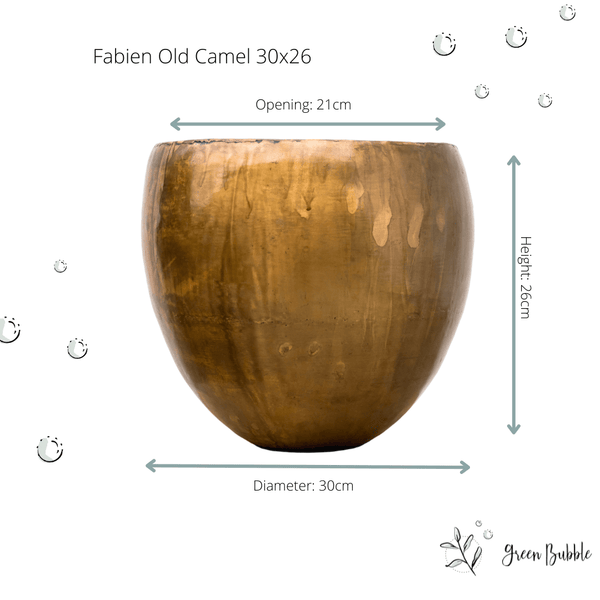 Pot Fabien old camel kopen bij Green Bubble