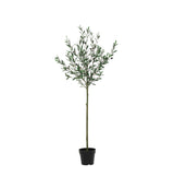 Product afbeelding 7
