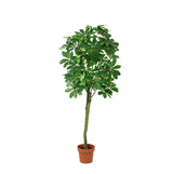 Product afbeelding 7