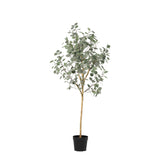 Product afbeelding 7