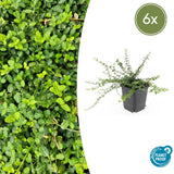 Product afbeelding 1