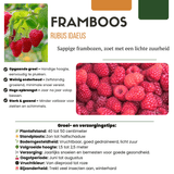 Product afbeelding 3