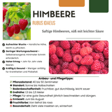 Product afbeelding 6
