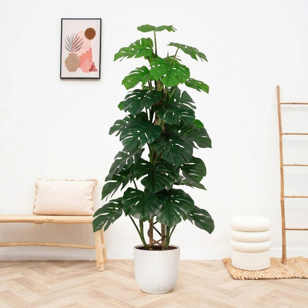 Kunst Monstera Monkey Leaf - 125cm kopen bij Green Bubble