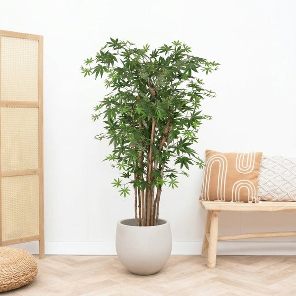 Kunst Acer - 150cm kopen bij Green Bubble