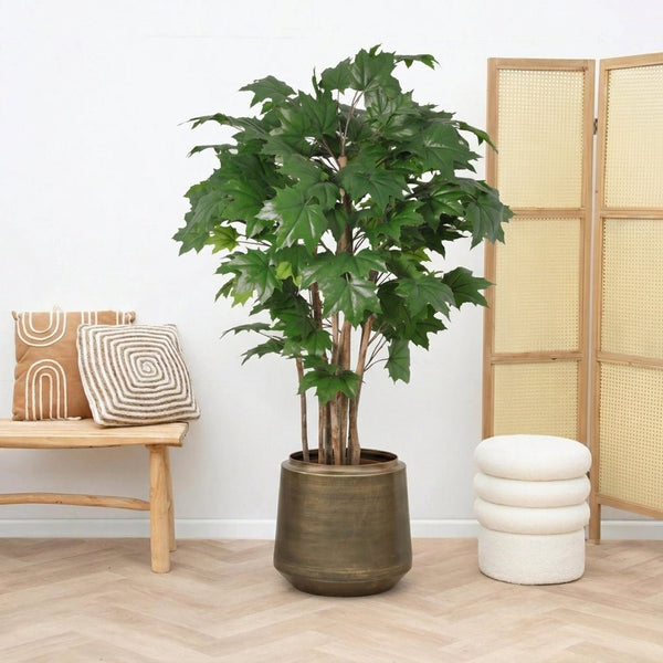 Kunst Maple tree - 180cm kopen bij Green Bubble