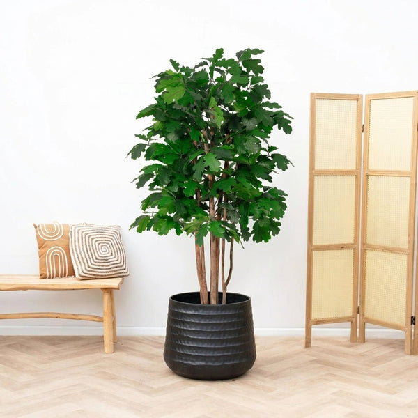 Kunst Oak tree - 140cm kopen bij Green Bubble