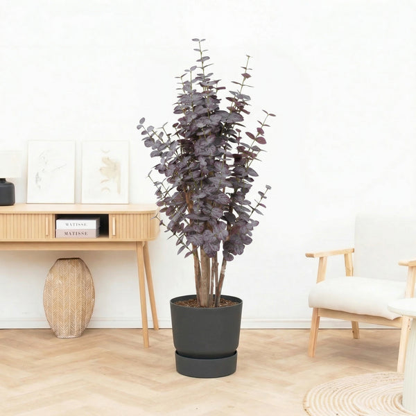 Kunst Eucalyptus purple - 120cm kopen bij Green Bubble