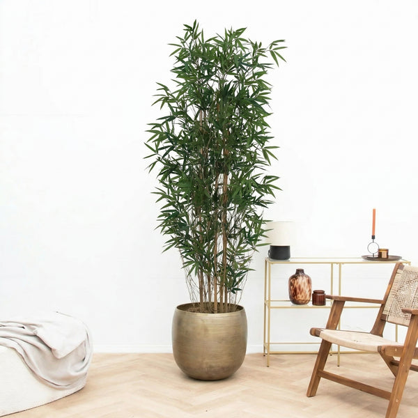 Kunst Bamboe - 210cm kopen bij Green Bubble