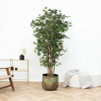 Kunst Acer palmatum - 180cm