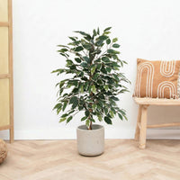 Kunst Ficus benjamina variegata - 85cm