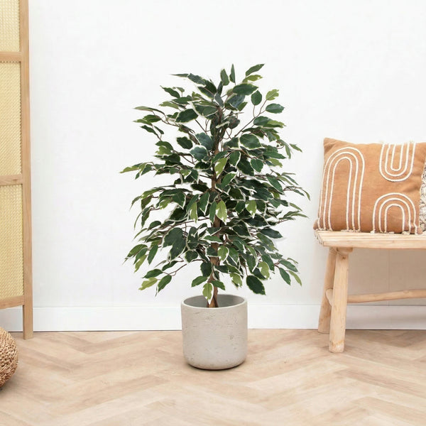 Kunst Ficus benjamina variegata - 85cm kopen bij Green Bubble
