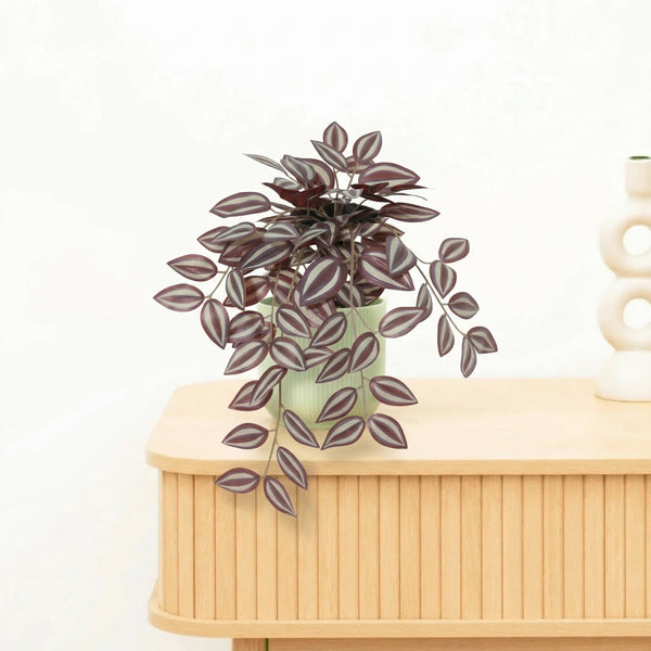 Kunst Tradescantia - 32cm kopen bij Green Bubble
