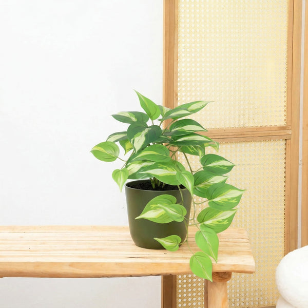 Kunst Epipremnum Variegata - 37cm kopen bij Green Bubble