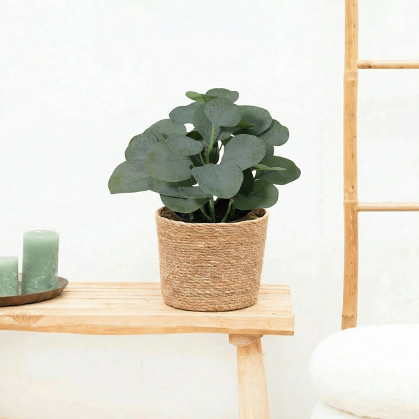 Kunst Eucalyptus - 21cm kopen bij Green Bubble