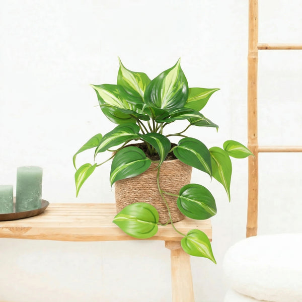 Kunst Epipremnum Variegata - 23cm kopen bij Green Bubble